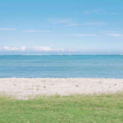 小企鹅爱吃鱼2无敌版