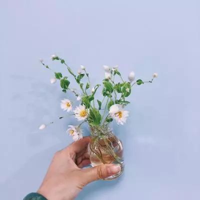 齐齐哈尔房产网截图